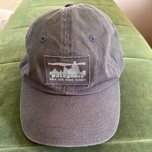 Patagonia Cap